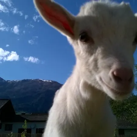 מלון Schlosswirt