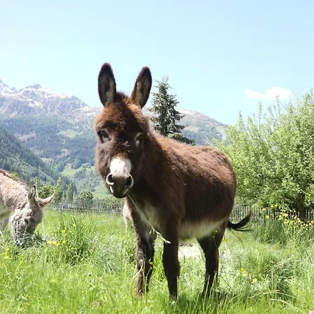 Schlosswirt 3* Großkirchheim