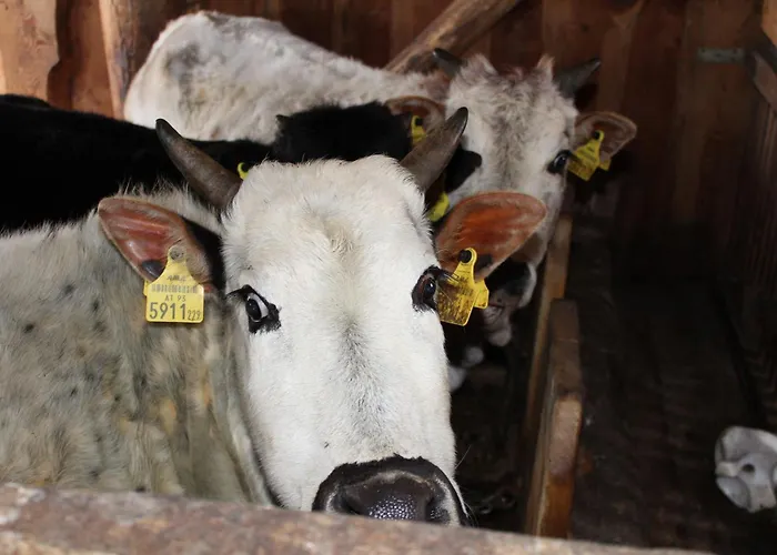 Hotel Schlosswirt 3*