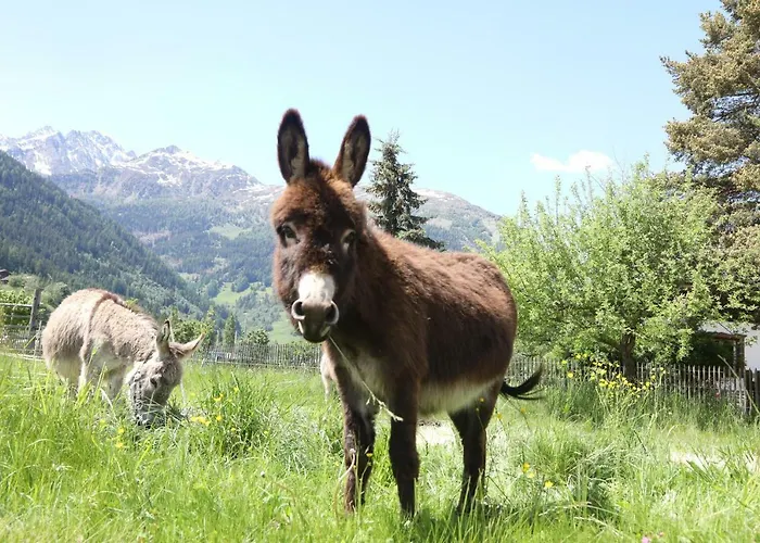 Schlosswirt 3* Großkirchheim